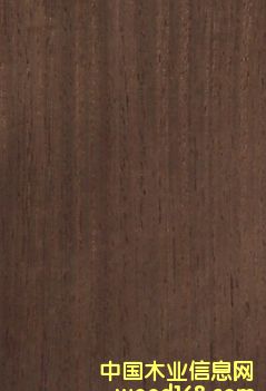 �F����Ԕ��(x��)��B