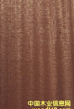 ɳ������Ԕ��(x��)��B