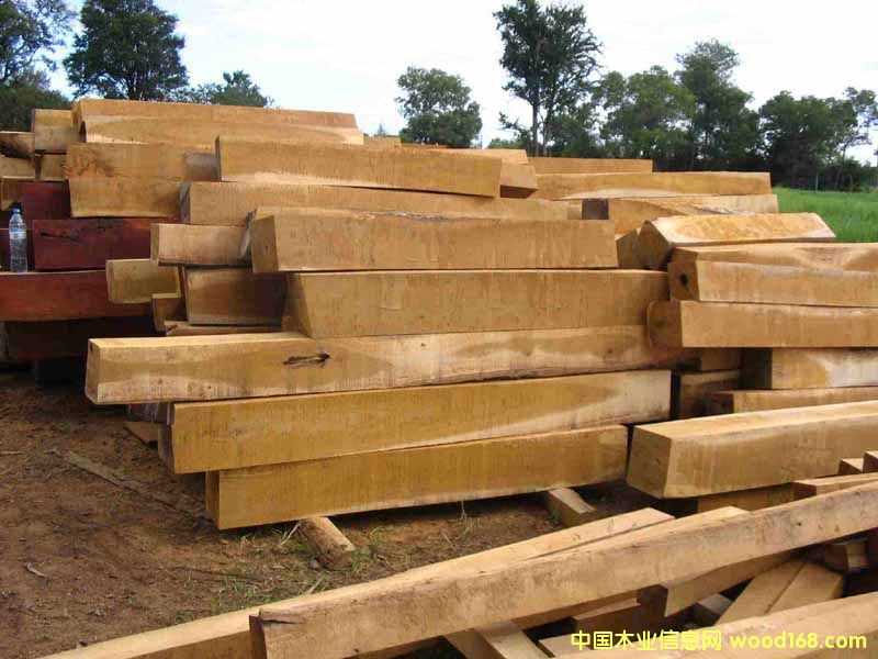 ��ρľ��Ԕ����B