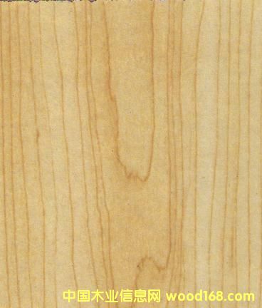 8239��(qi��ng)����(f��)�ϵذ�