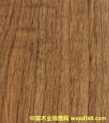 8216�����ͺϵذ�