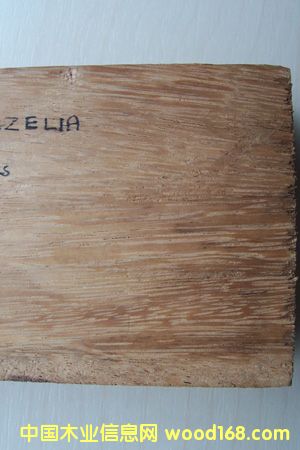 ���޾��ѵ�Ԕ��(x��)��B