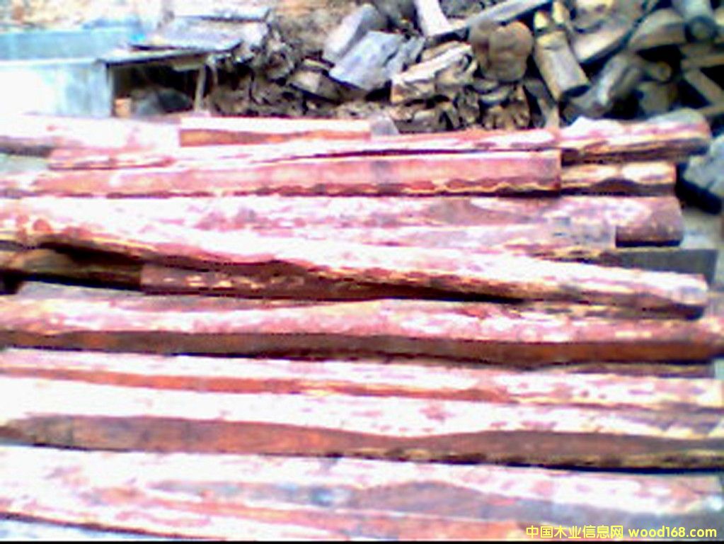 Խ��С�~��̴��Ԕ����B