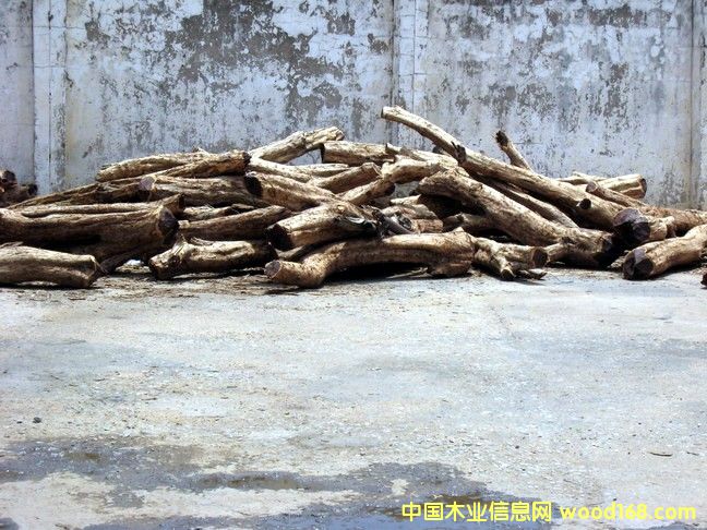 ����(y��ng)��ľ��Ԕ����B