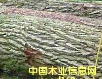 ��ľ���ĵ�Ԕ����B