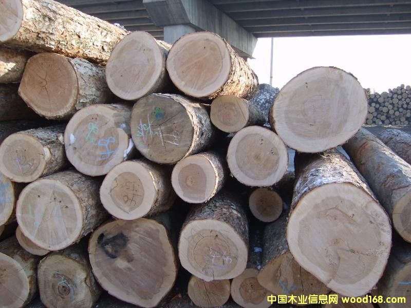 ���_˹����5