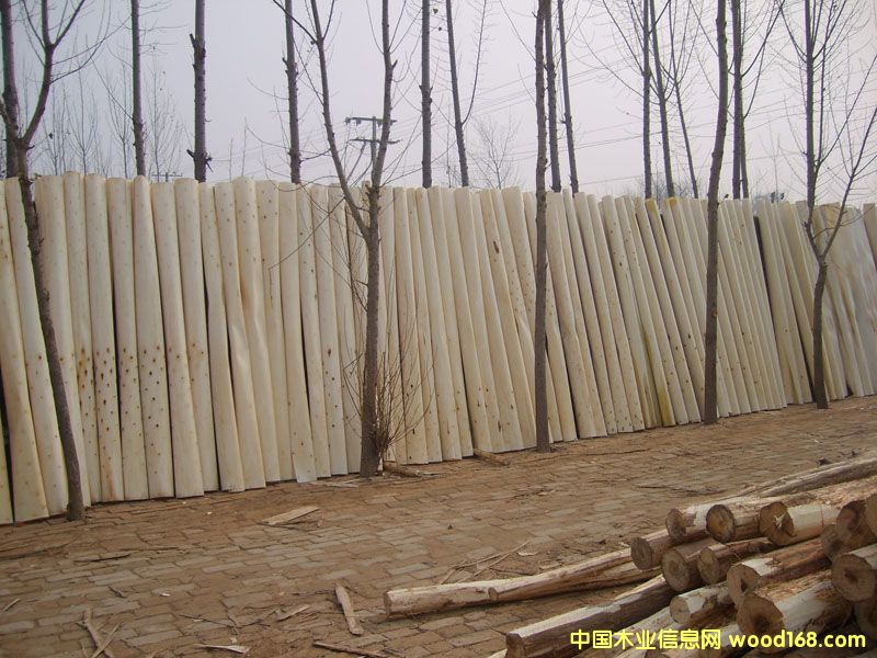 ��ľƤ��Ԕ��(x��)��B