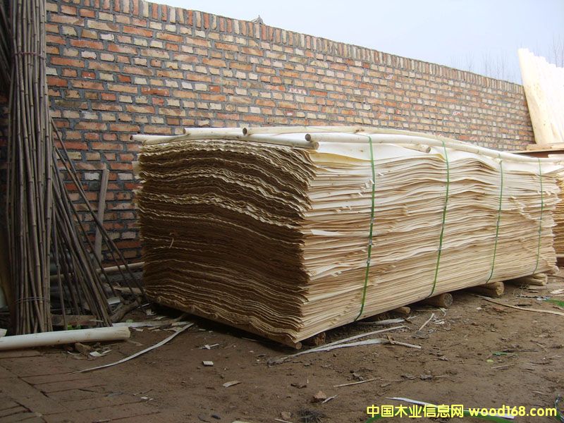 ��ľƤ��Ԕ��(x��)��B