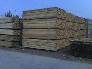 �������l(f��)���Nľ����Ԕ��(x��)��B