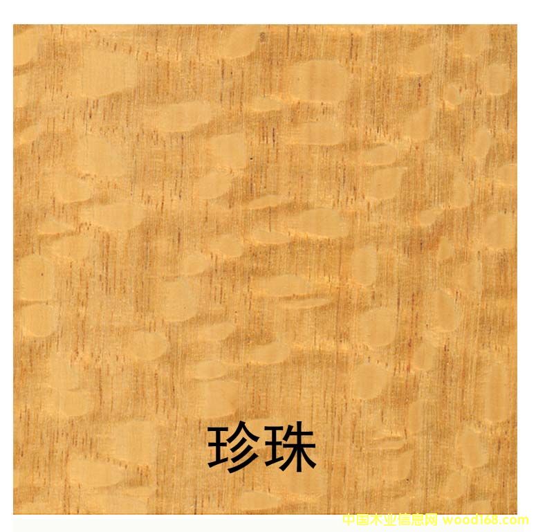 �����Ԕ��(x��)��B