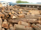 ԭľ��Ԕ��(x��)��B