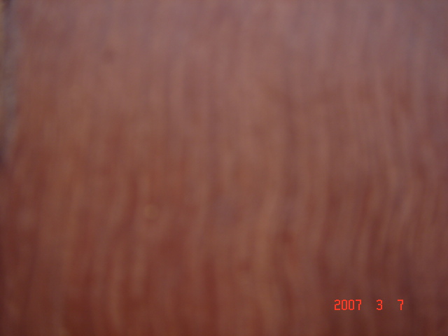 ���޼tľ��8��Ԕ����B