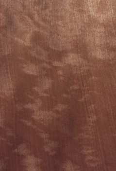 �������Ԕ����B