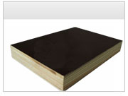 ����ģ���Ԕ����B