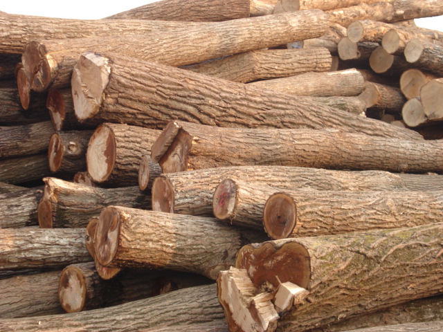 ԭľ��Ԕ��(x��)��B