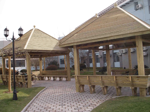 �W�޳��ɵ�Ԕ����B