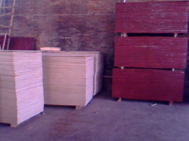 ����ģ���Ԕ����B