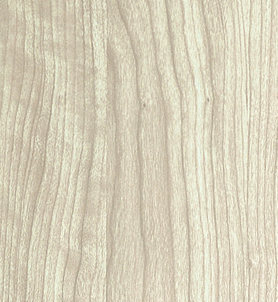 8686��Ԕ��(x��)��B