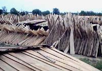 ͩľƴ���Ԕ��(x��)��B