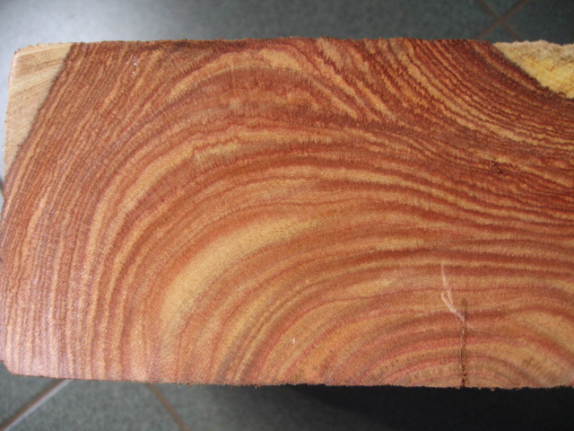 ��������Ԕ��(x��)��B