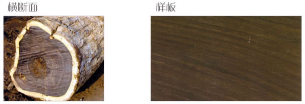 �|�Ǻ��S̴��Ԕ��(x��)��B