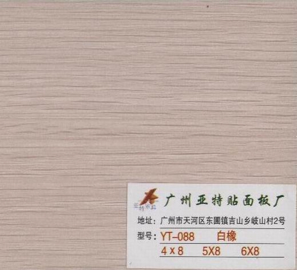 ��ľ��Ԕ����B