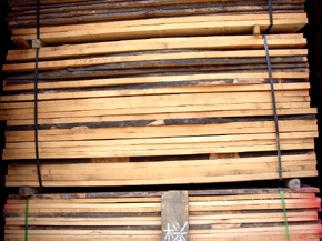 ��ľ��ĵ�Ԕ��(x��)��B