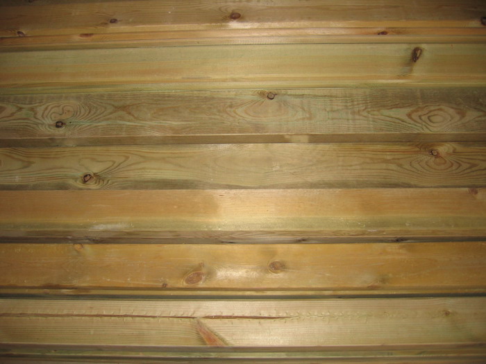 ����ľ��Ԕ����B