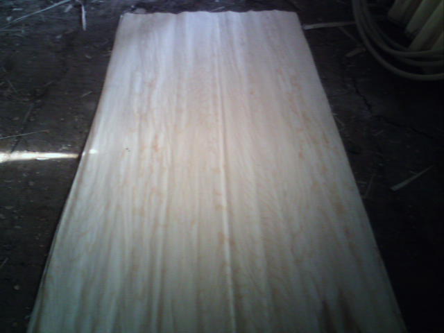 ������Ƥ��Ԕ��(x��)��B