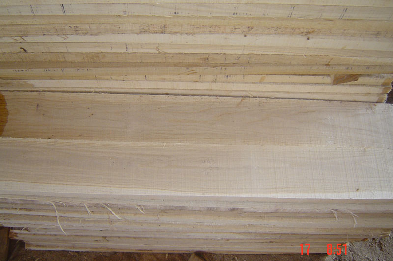 ��ľ��ĵ�Ԕ����B