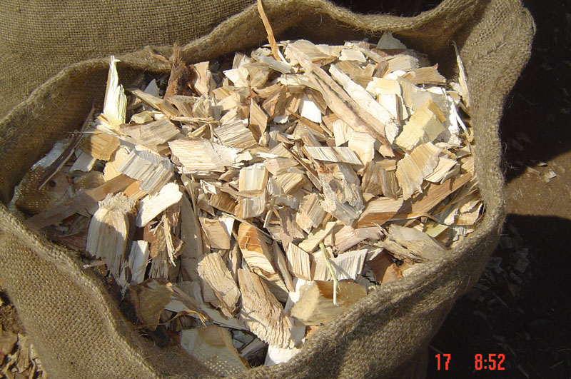 �����sľľƬ��Ԕ����B