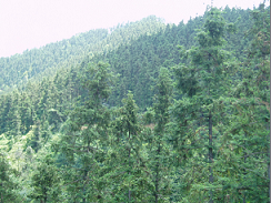 ɼľ���ص�Ԕ��(x��)��B