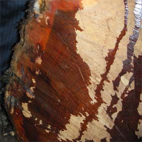 ������޼ľ��Ԕ����B