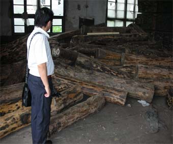 ������޼ľ��Ԕ����B