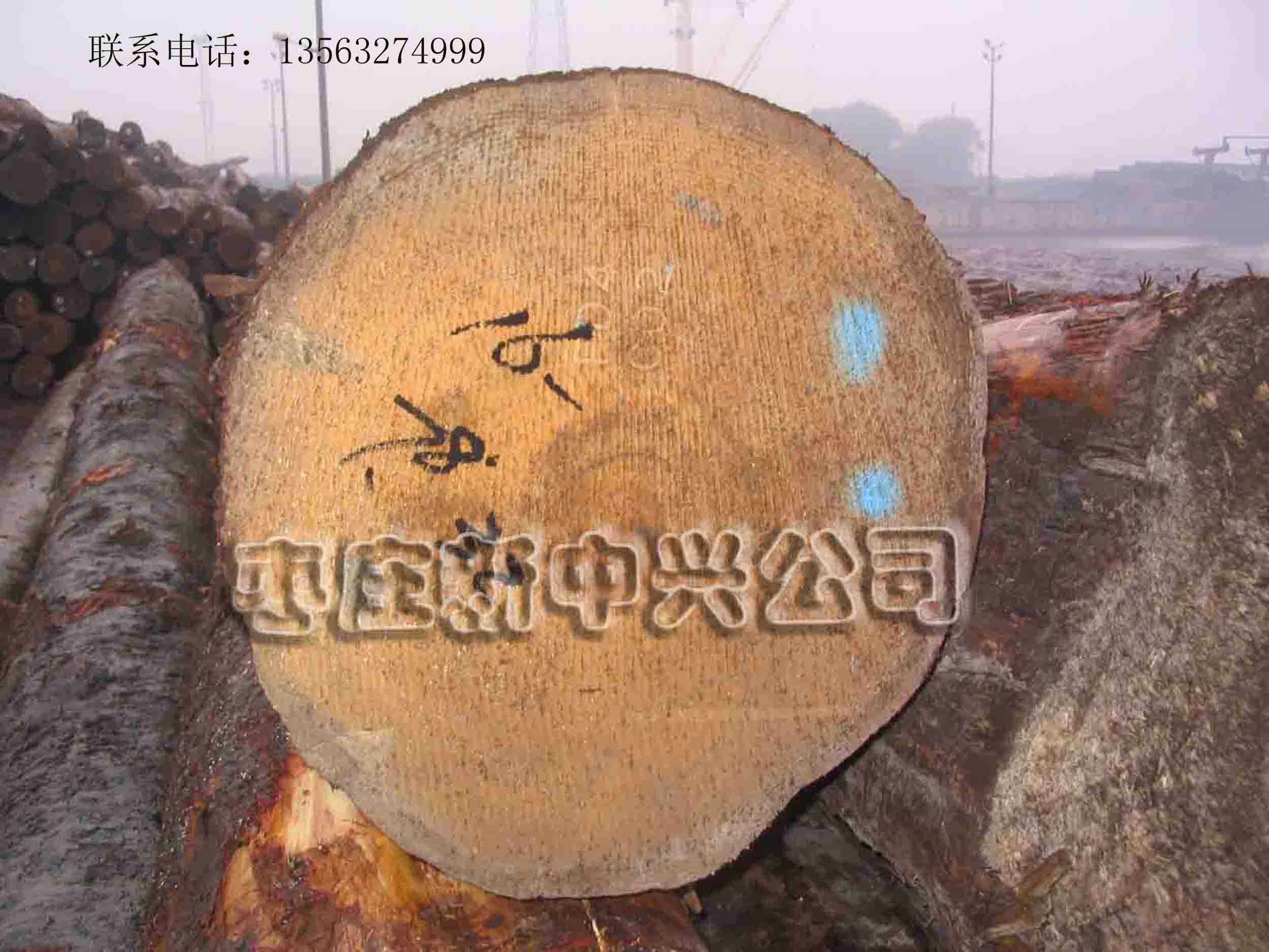 ���ô���ɼ