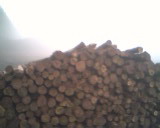 ��ľ��Ԕ����B