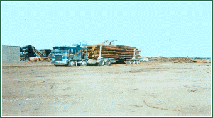 ������(y��ng)ԭľɼľ