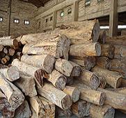 ��ľԭľ��Ԕ��(x��)��B