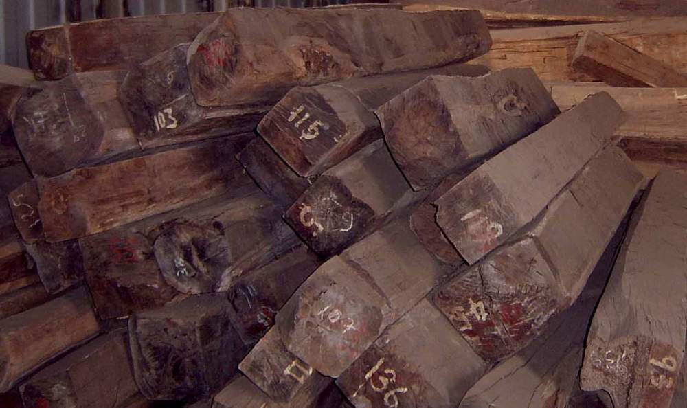 ���޼t��֦ �M(j��n)���ҵľW(w��ng)���k�����ĵ�Ԕ��(x��)��B