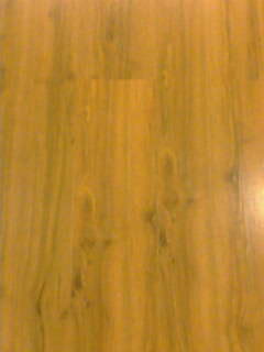 �ތ���(qi��ng)����(f��)�ϵذ��Ԕ��(x��)��B