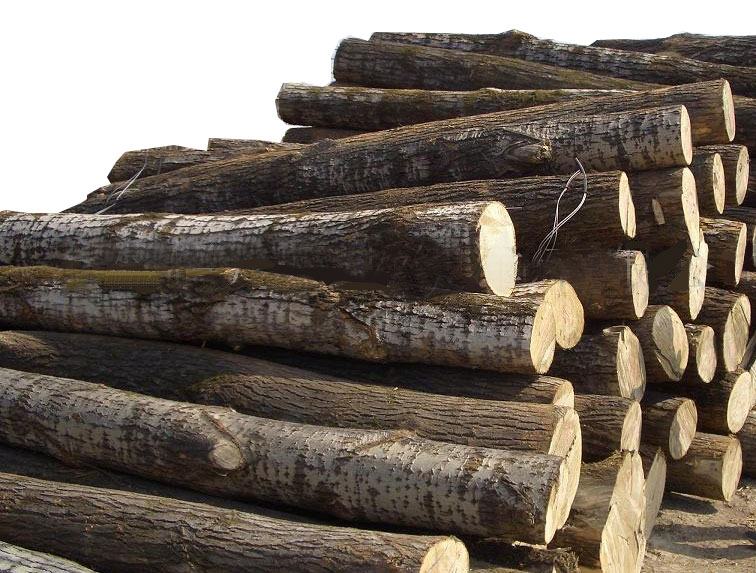 ԭľ,��ľ��Ԕ��(x��)��B