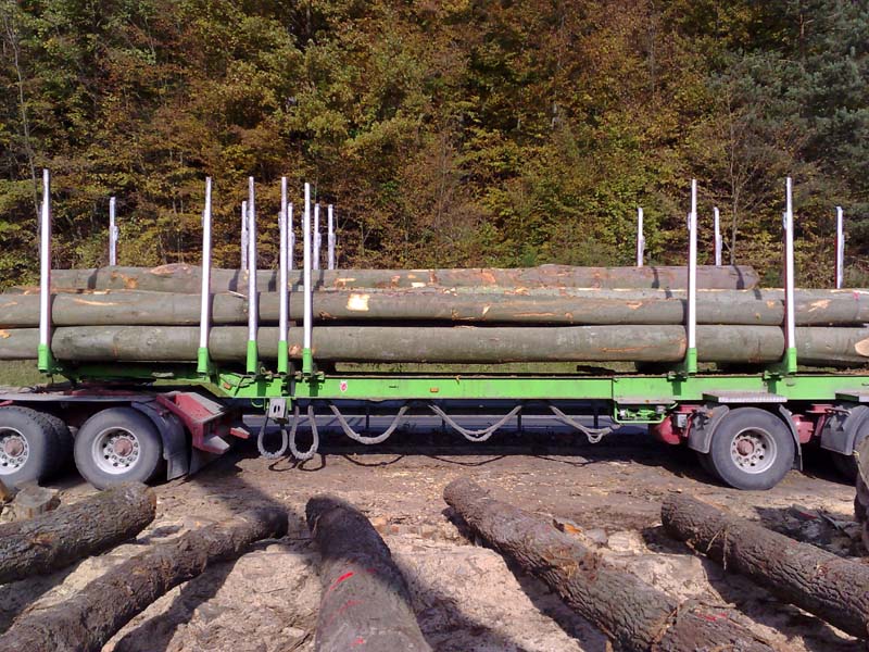 ��ľBC ��(j��)ԭľ��Ԕ��(x��)��B