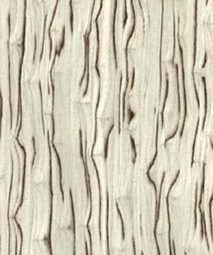 �Ƽ�ľƤ��Ԕ����B