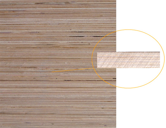 ȫ��ľ�z�ϰ��Ԕ����B