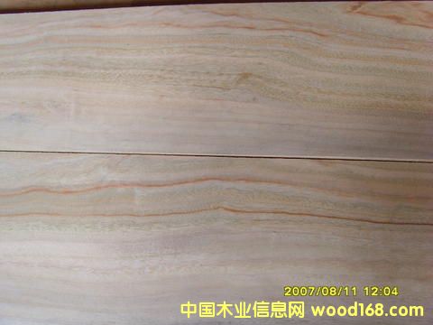 ������ľ�ذ�-6��Ԕ����B