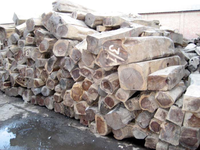 �ϓ��t��֦��Ԕ��(x��)��B