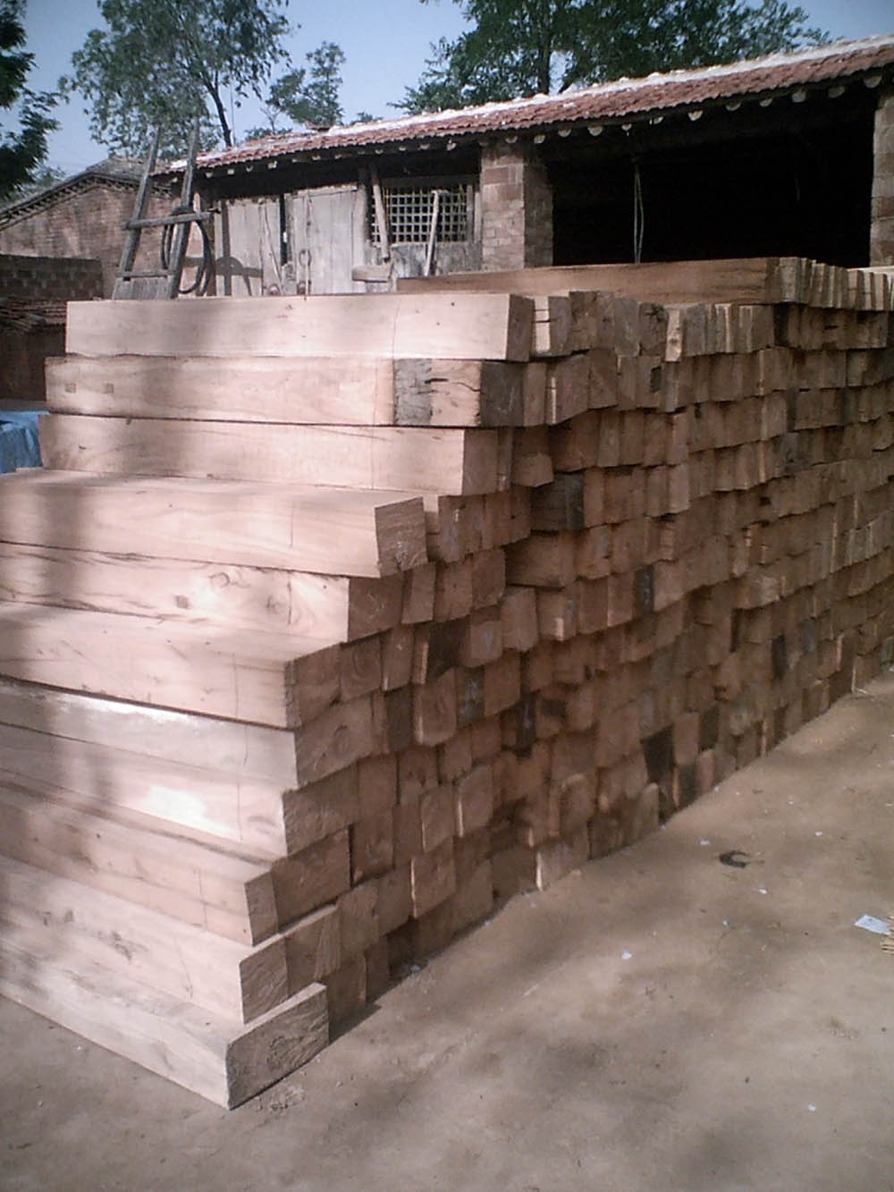 ����ľ��ľ