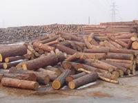 ���ڴ��ŵ�Ԕ��(x��)��B