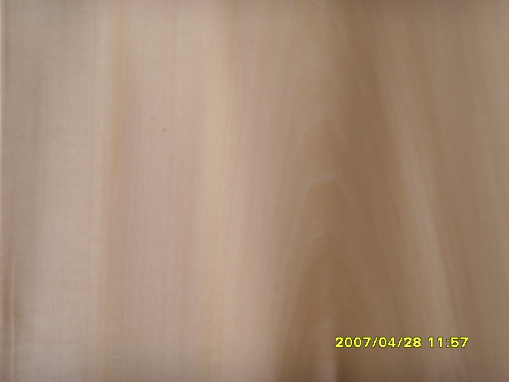 ��ɽ�{(l��n)�칩��(y��ng)���a(ch��n)ľƤ���ľľƤ��Ԕ��(x��)��B