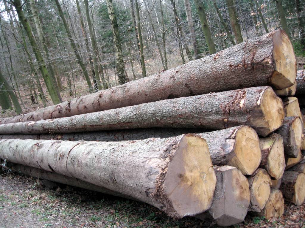 ��ľ��Ԕ��(x��)��B